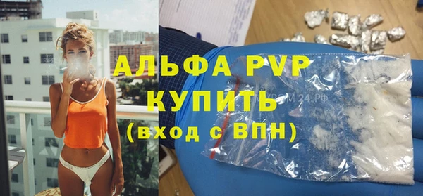 шишки Костерёво