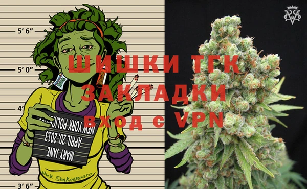 шишки Костерёво
