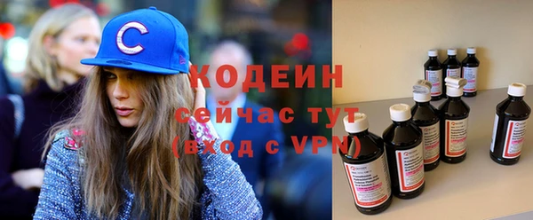шишки Костерёво