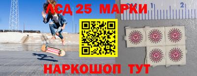 шишки Берёзовский