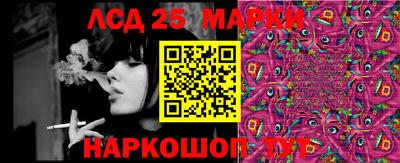 крисы Бийск