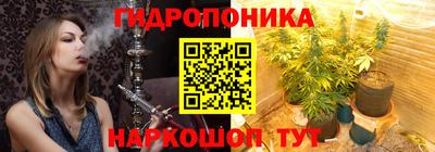 шишки Берёзовский