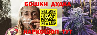 крисы Бийск