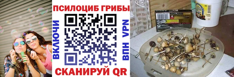 Галлюциногенные грибы ЛСД  где продают   Волгодонск 