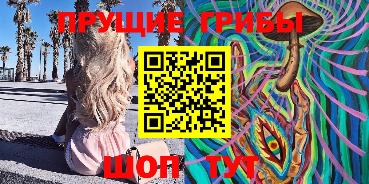 что такое наркотик  Псилоцибиновые грибы Psilocybe  Волгодонск  Галлюциногенные грибы MAGIC MUSHROOMS 