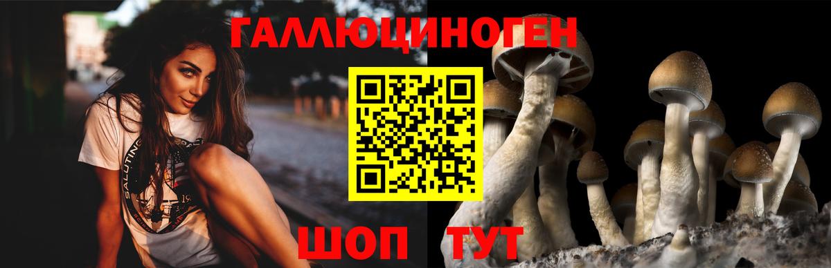 Галлюциногенные грибы Magic Shrooms  Вход с VPN  Волгодонск 